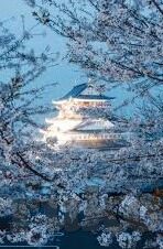 2828大象传媒-2828大象传媒，重塑数字时代的信息传播