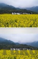 91麻豆视频观看-沉浸视觉体验，91麻豆视频与当代娱乐新景象