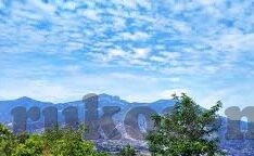 91麻豆视频在线-没有人是安全的，网络总是潜伏着危险的种子。当你不经意间走进某篇91麻豆视频在线的讨论，你最终将跌入深不可测的黑暗漩涡