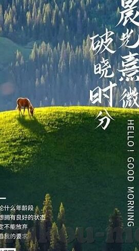 99热成人在线视频网-探索网络世界的多元性，理性审视网络内容与个人成长