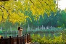 午夜福利视频一区二区三区-午夜福利视频的多元探索，一区、二区、三区的独特魅力